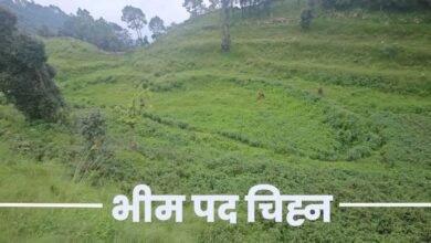 Footprints of Bhima of Mahabharata period present in Salt area of ​​Almora: Amazing heritage related to mythology