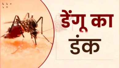 163 cases of dengue in Pauri, administration and health department on alert mode
