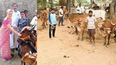 Kummarigudem: Cow in every house, dairy boom changed the fate of the village