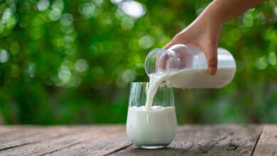 Ultra-Filtered Milk: What is ultra-filtered milk? Know the benefits