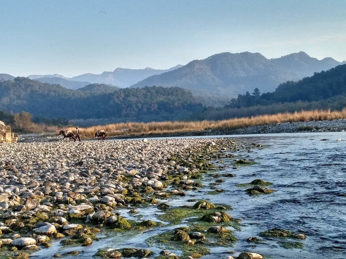 Ramnagar: Peace returned to the banks of Kosi river with the departure of migratory birds, now waiting for the next winter