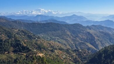 Uttarakhand government's big decision: Outsiders banned from buying agricultural land in 11 districts