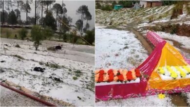Unseasonal rain and hailstorm wreak havoc in Pithoragarh, farmers' hard work wasted