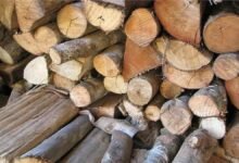 The magic of Uttarakhand's wood spreads across the country: Haldwani becomes the new hub of timber
