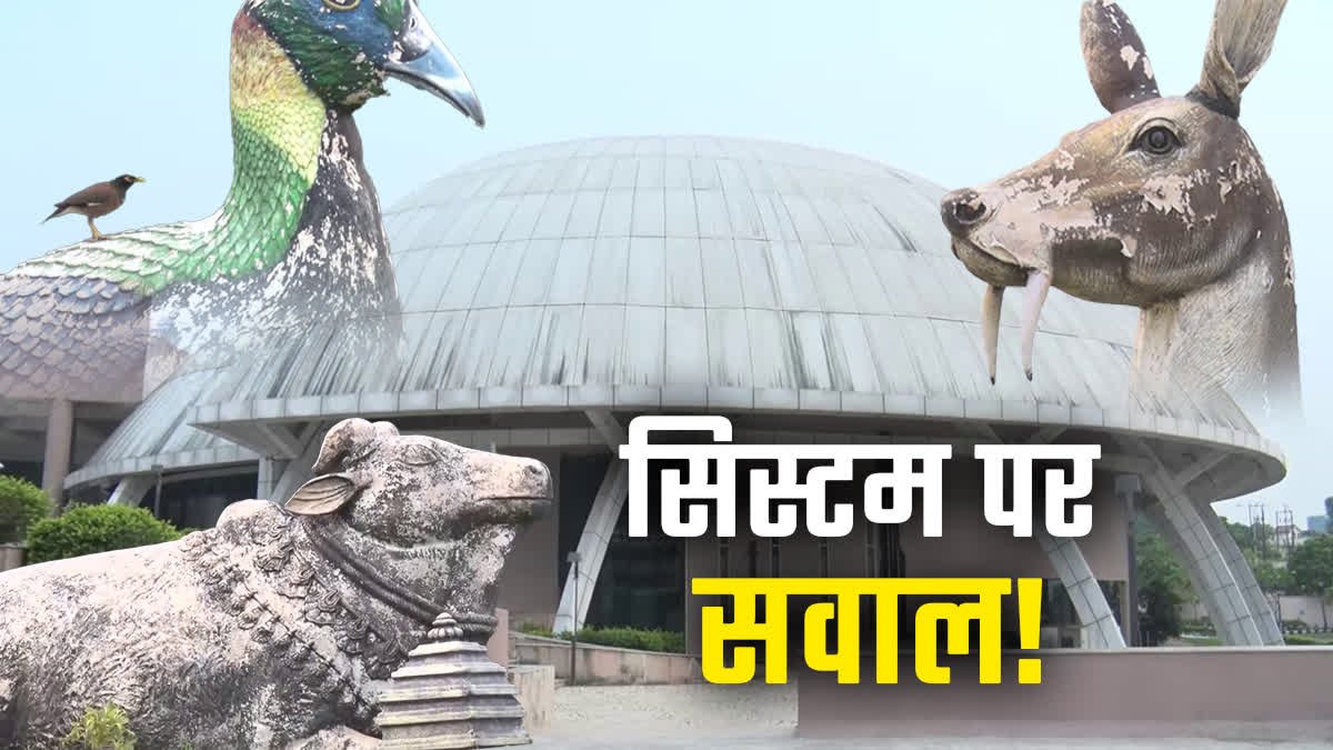 The condition of Himalaya Cultural Center is worse, despite spending on maintenance, chaos prevails