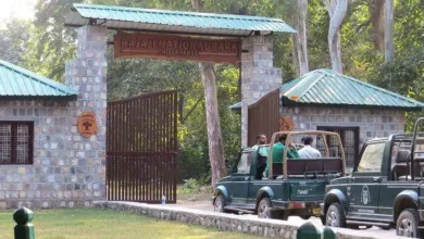 Rajaji Tiger Reserve closed for tourists, earnings record broken this year