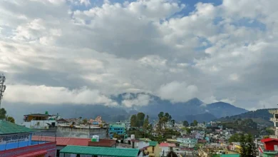 Relief to the environment in Uttarakhand: Hopes raised due to better air quality and fewer forest fire incidents